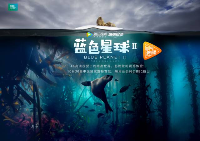 公主边写边塞东西剧照3